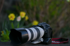 canon